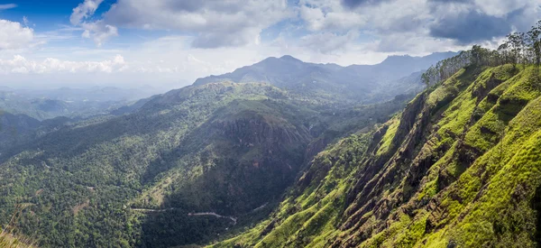 L'été dans les hauts plateaux du Sri Lanka — Photo