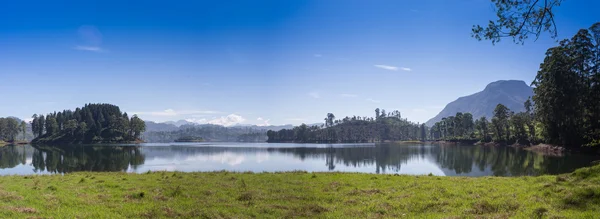 Pang ung, reflexão de pinheiro em um lago — Fotografia de Stock