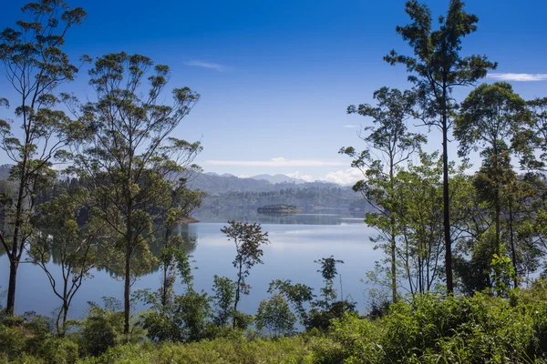 Pang ung, reflexão de pinheiro em um lago — Fotografia de Stock