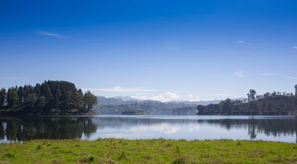 Pang ung, riflesso di pino in un lago — Foto Stock