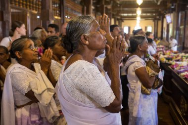 Kandy, Sri Lanka - Şubat 01: Pera Hera Festivali Kandy Buda'nın diş kutlamak için. Dansları ve güzel oluşan filler dekore edilmiştir. Şubat'ta alınan 01,2015, Kandy, Sri Lanka.