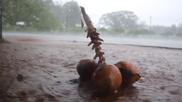 Gotas de lluvia ondulando en un charco — Vídeos de Stock