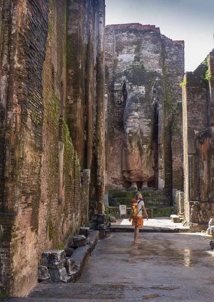 Vista panoramica dei gradini e delle sculture in leone — Foto Stock