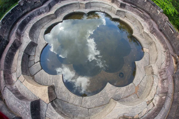 Koi em uma lagoa de jardim — Fotografia de Stock