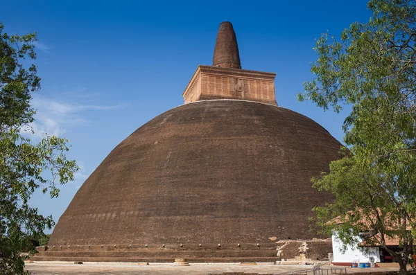 V zadní části Rankoth Vehera, největší buddhistická stúpa — Stock fotografie