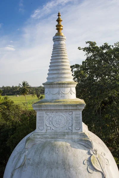 L'arrière de Rankoth Vehera, le plus grand stupa bouddhiste — Photo