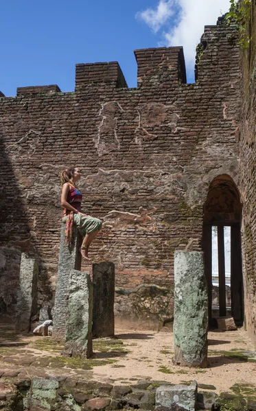 Vista panoramica dei gradini e delle sculture in leone — Foto Stock