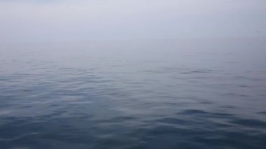 Deniz dalgası yakın, alçak açı görünümü