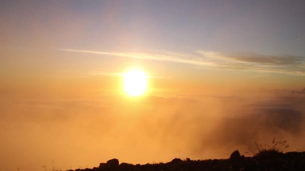 Solnedgång med solstrålar — Stockvideo