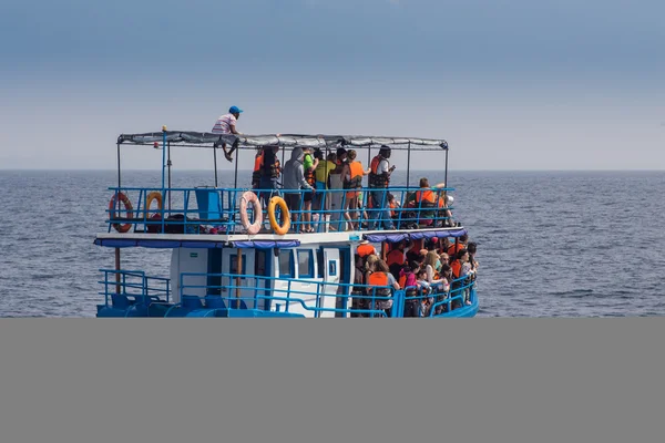 Mirissa is place which has the biggest blue whale colony — Stock Photo, Image