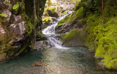 Ormanda Bali, Endonezya Nehri üzerinde köprü