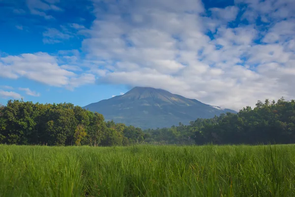 La classica forma a cono del vulcano Arenal in Costa Rica . — Foto Stock