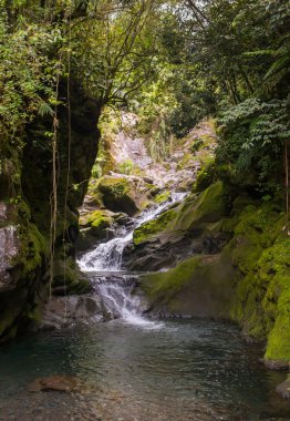 Ormanda Bali, Endonezya Nehri üzerinde köprü