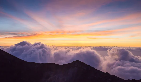 Atardecer de verano en cañón y bosque — Foto de Stock