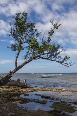 Vintage plaj arka plan