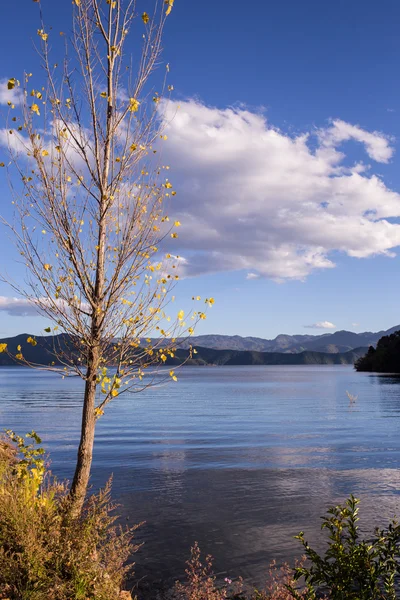 Clear lake surrounded by autumn forest — Stock Photo, Image