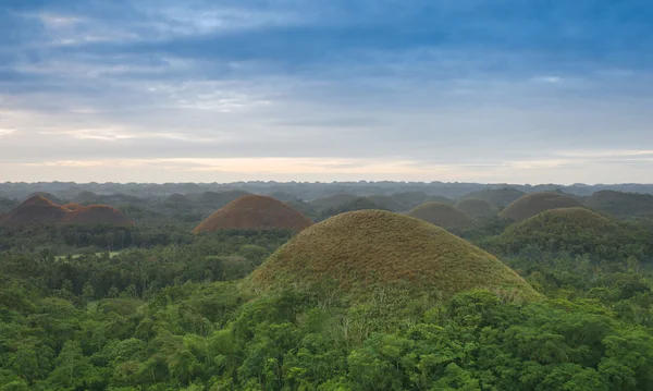 Visa av choklad kullarna i bohol, Filippinerna — Stockfoto