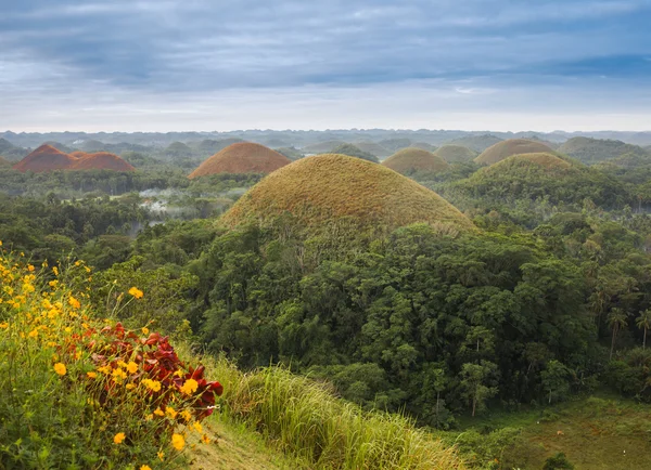 Visa av choklad kullarna i bohol, Filippinerna — Stockfoto