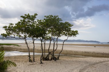 güzel plajlar ve Filipinler masmavi okyanus