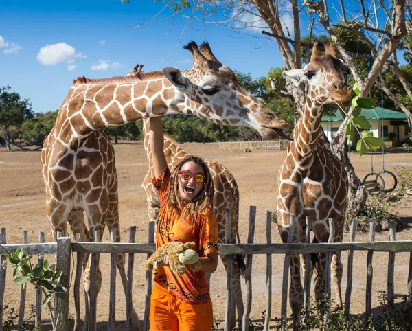 Mädchen füttert Giraffe im Zoo — Stockfoto