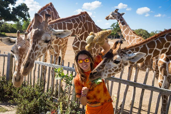 Girl Feeding Giraffe at Zoo — Stock Photo, Image