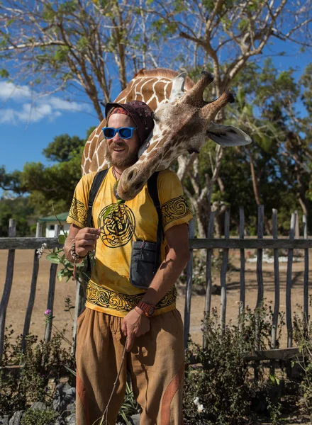 Giraffe nel parco Kruger Sud Africa — Foto Stock