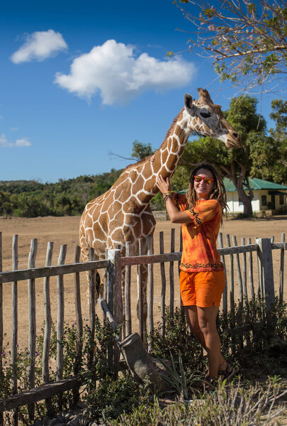 Девочка кормит жирафа в зоопарке