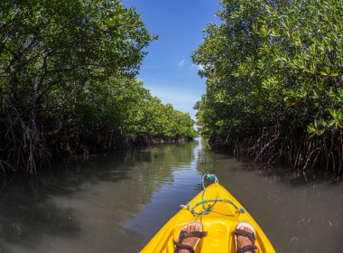 Genç Bayan sert deniz kayağı ile lots-in su sıçramalarına kürek çekmeye