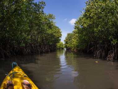 Genç Bayan sert deniz kayağı ile lots-in su sıçramalarına kürek çekmeye