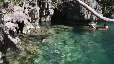 Genç adam net sığ tropikal denizde dalış