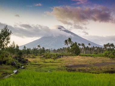 Vulcano Mount Mayon Filipinler