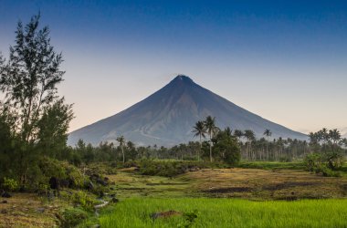 Vulcano Mount Mayon Filipinler