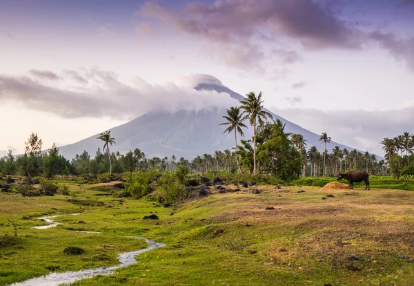 Вулкано Маунт-Майон на Филиппинах — стоковое фото