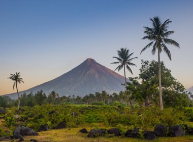 Vulcano Mount Mayon Filipinler