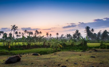Havadan görünümü: tropik sahil üzerinde uçan. Balıkçı evi.