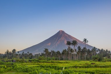 Vulcano Mount Mayon Filipinler