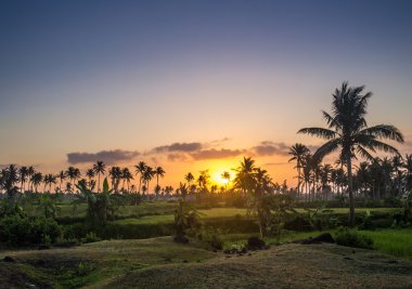 Havadan görünümü: tropik sahil üzerinde uçan. Balıkçı evi.