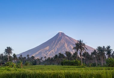Vulcano Mount Mayon Filipinler