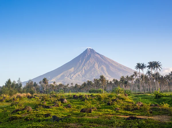 Vulcano Mount Mayon Filipinler