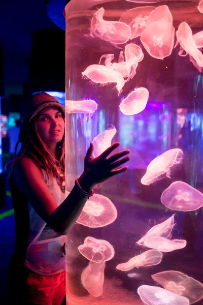 Méduses lunaires Aurelia aurita dans un aquarium . — Photo