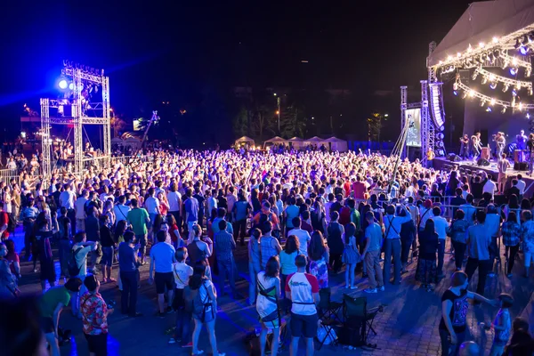 Outdoor concert bright and loud Stock Photo by ©Wassiliy 30893453