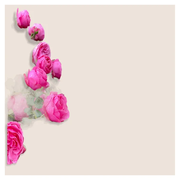 Composition Roses Roses Avec Fond Idée Carte — Image vectorielle