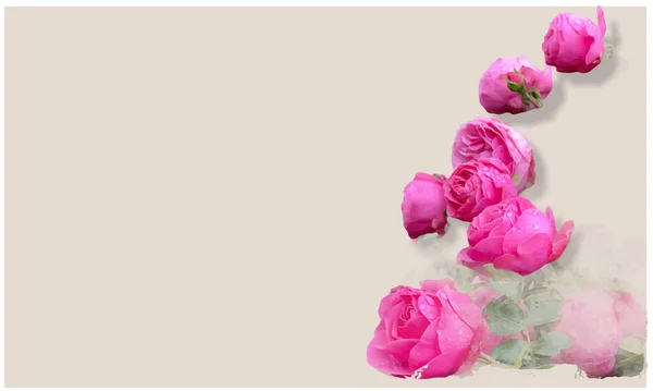 Composition Des Roses Roses Idée Carte Roses Sur Beige — Image vectorielle
