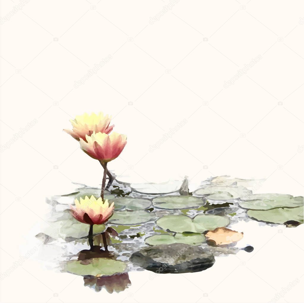 Three lotuses in the garden pond on cream background composition, watercolour 