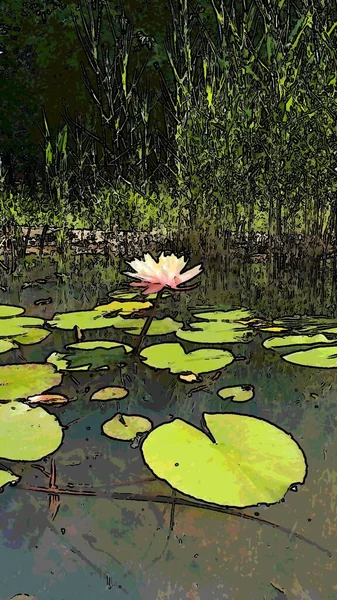  Bahçe havuzundaki lotuslar siyah çizgiler.