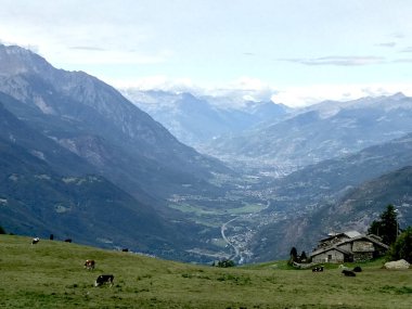 İtalya Aosta Vadisi Dağları ve tarlaları ev ve ineklerle dolu