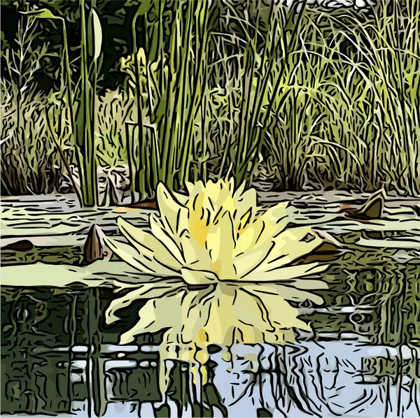 Gele Lotus Single Tuin Vijver Waterplant Spotprent Overzicht — Stockvector