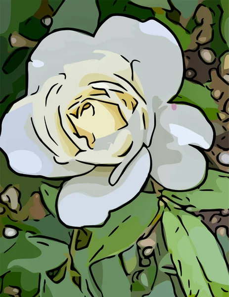 Çizgi film dışında yaprakları olan beyaz gül.