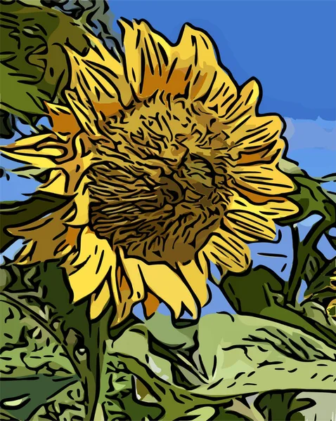 Bahçede tek başına ayçiçeği, çizgi film, ana hatlar 