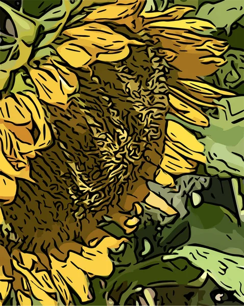 Ayçiçeği tek başına bahçedeki çizgi filmin ana hatlarında.